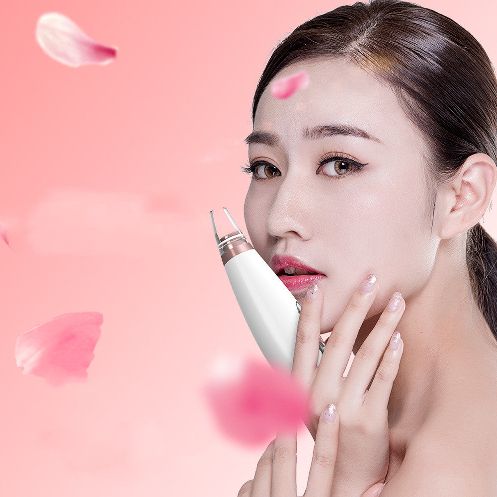 Facial pore cleaner, blackhead suction instrument